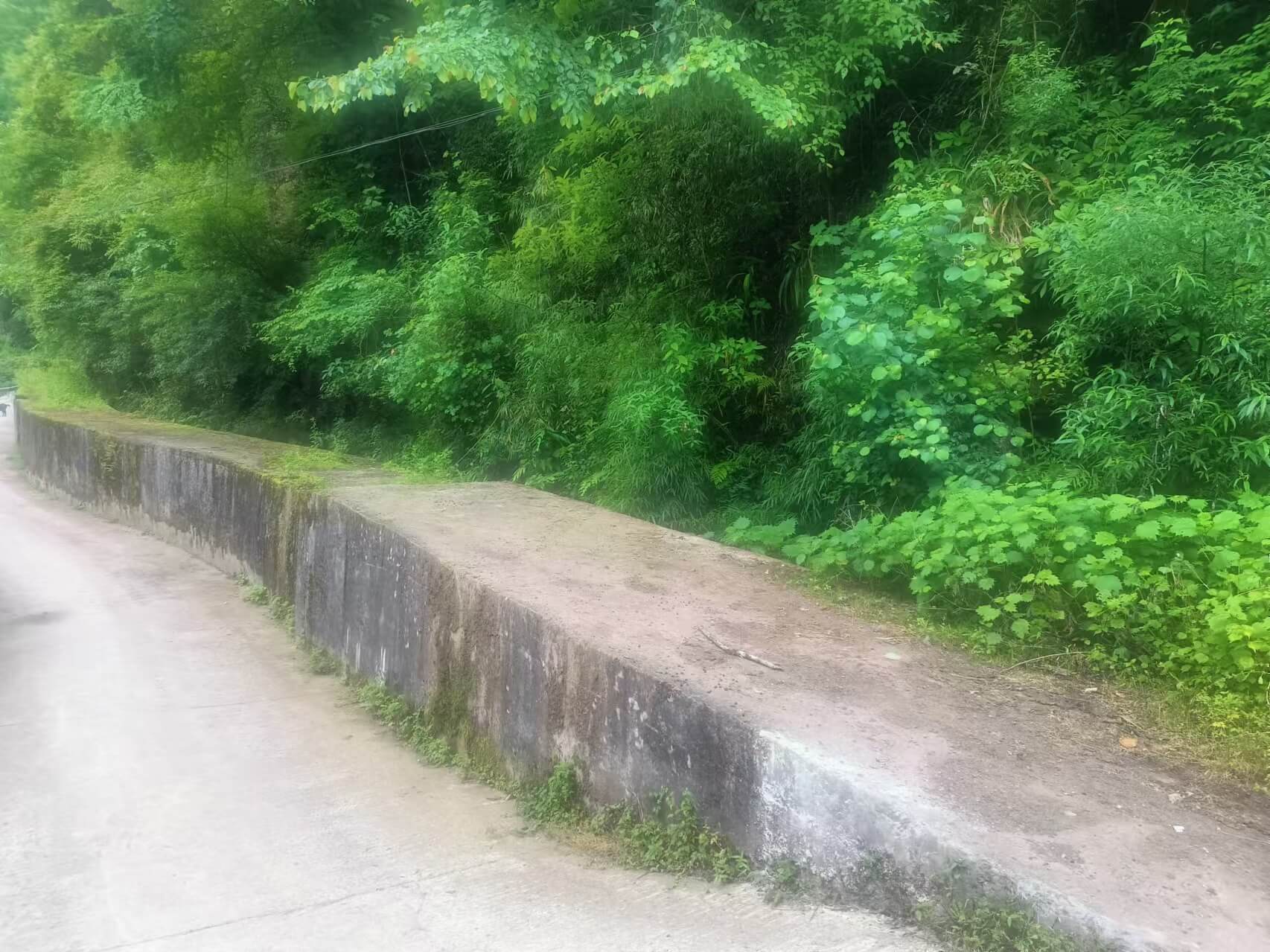 引水渠道 project thumb